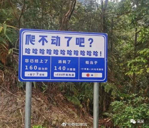 你的城市地標(biāo)路牌有多整活？搞笑路牌合集盤點(diǎn)